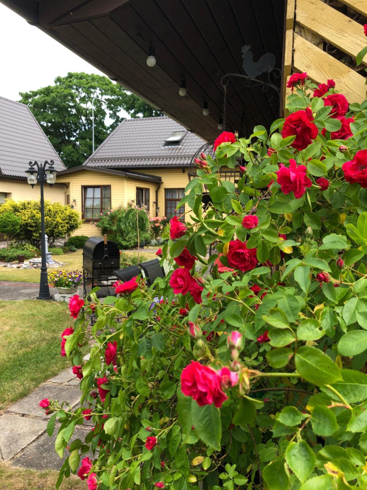 Anni Apartment Ventspils Exterior foto
