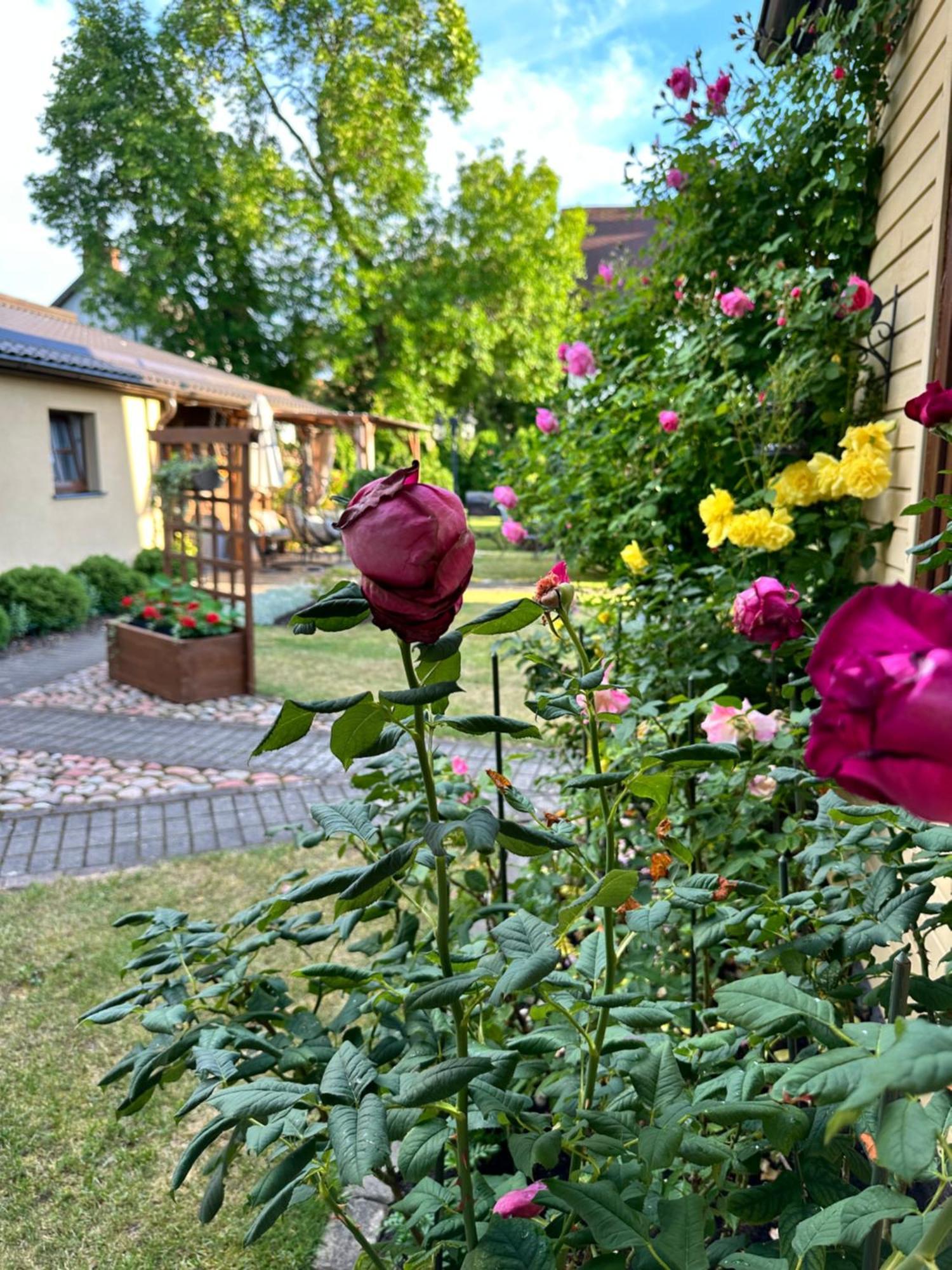 Anni Apartment Ventspils Exterior foto